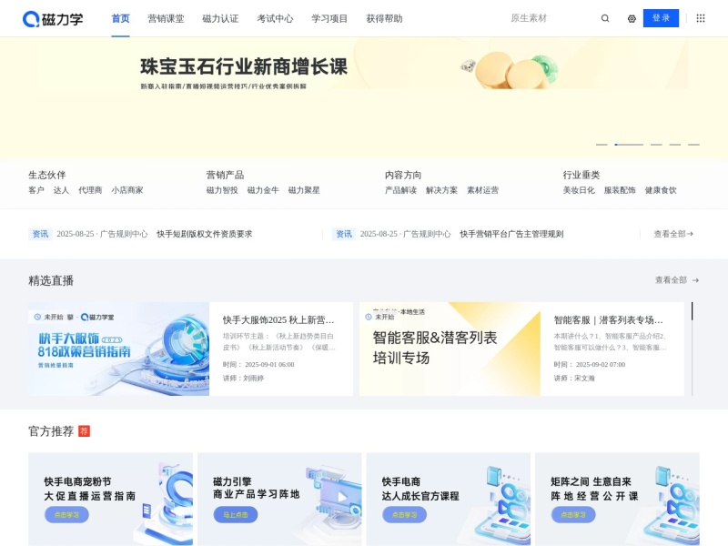 磁力学 网站截图