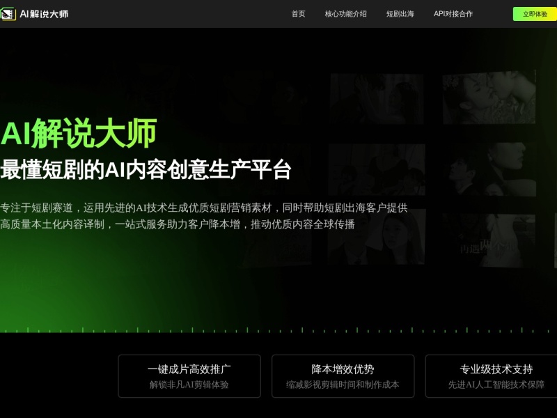 AI解说大师 网站截图